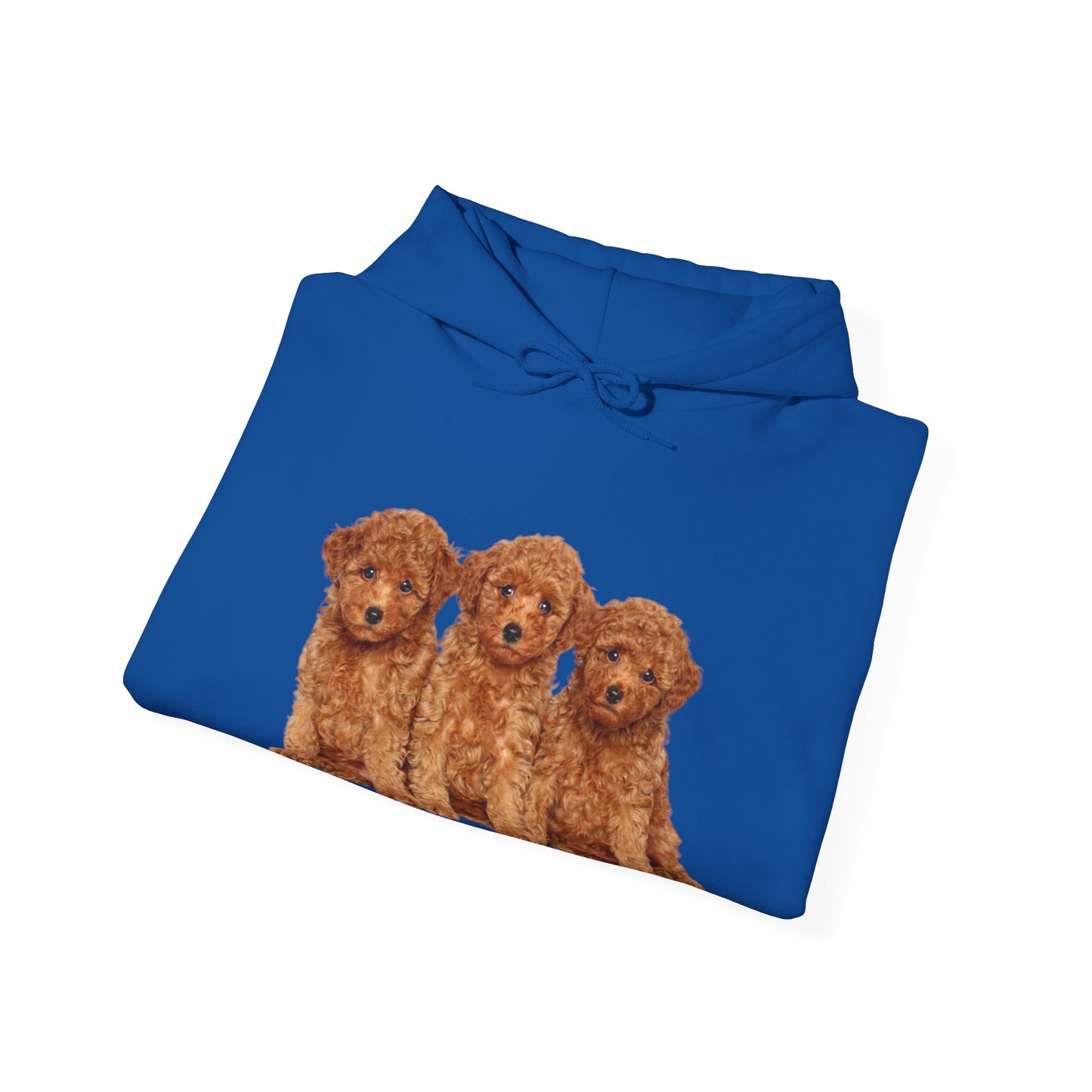 Cute Poodle Trio Unisex Heavy Blend™ Hoodie