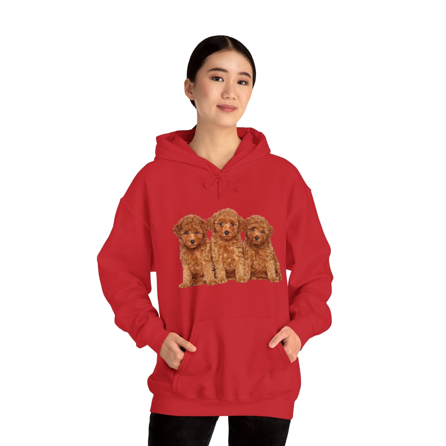 Cute Poodle Trio Unisex Heavy Blend™ Hoodie