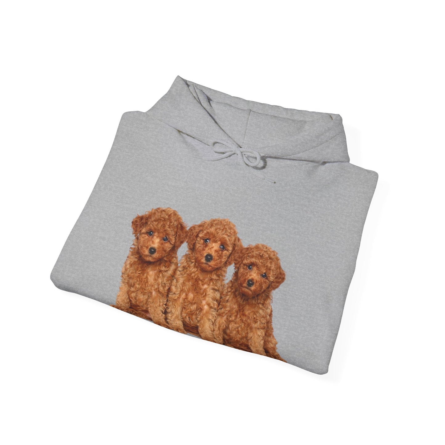 Cute Poodle Trio Unisex Heavy Blend™ Hoodie